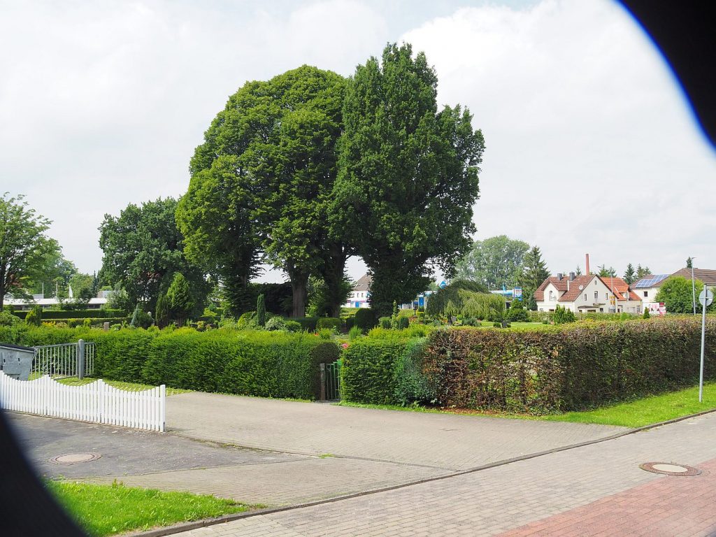 Friedhof St. Johann  an der Lageschen Straße